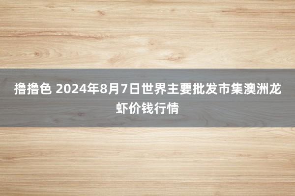 撸撸色 2024年8月7日世界主要批发市集澳洲龙虾价钱行情