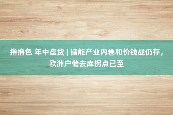 撸撸色 年中盘货 | 储能产业内卷和价钱战仍存，欧洲户储去库拐点已至