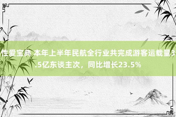 性爱宝典 本年上半年民航全行业共完成游客运载量3.5亿东谈主次，同比增长23.5%