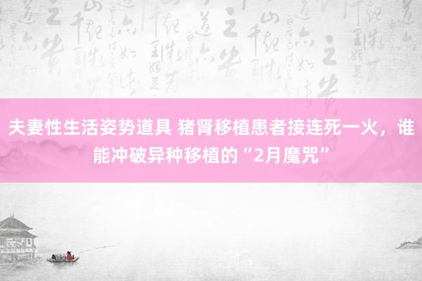 夫妻性生活姿势道具 猪肾移植患者接连死一火，谁能冲破异种移植的“2月魔咒”