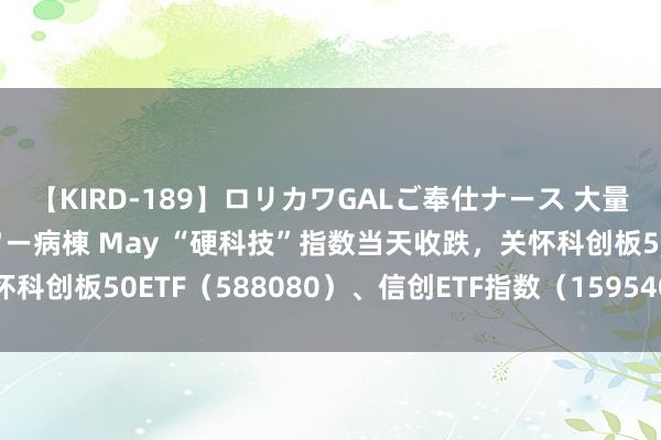 【KIRD-189】ロリカワGALご奉仕ナース 大量ぶっかけザーメンシャワー病棟 May “硬科技”指数当天收跌，关怀科创板50ETF（588080）、信创ETF指数（159540）等居品动向