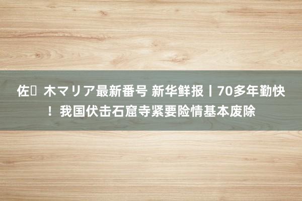 佐々木マリア最新番号 新华鲜报丨70多年勤快！我国伏击石窟寺紧要险情基本废除