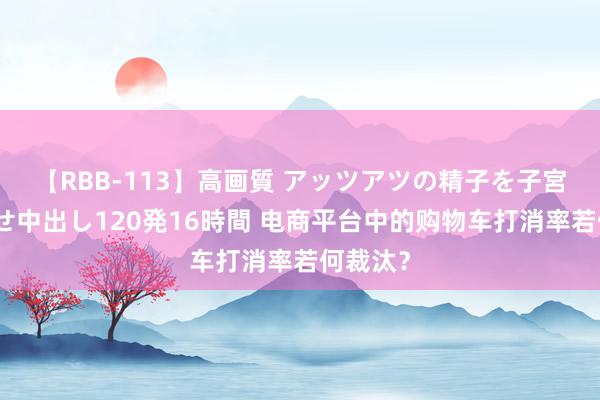 【RBB-113】高画質 アッツアツの精子を子宮に孕ませ中出し120発16時間 电商平台中的购物车打消率若何裁汰？