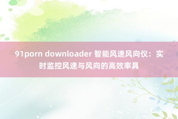 91porn downloader 智能风速风向仪：实时监控风速与风向的高效率具