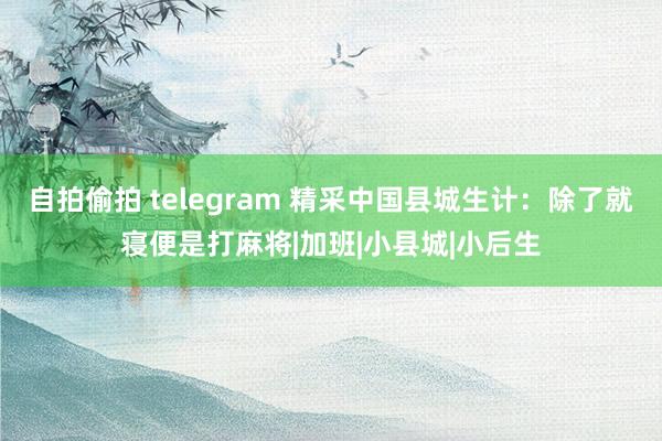 自拍偷拍 telegram 精采中国县城生计：除了就寝便是打麻将|加班|小县城|小后生