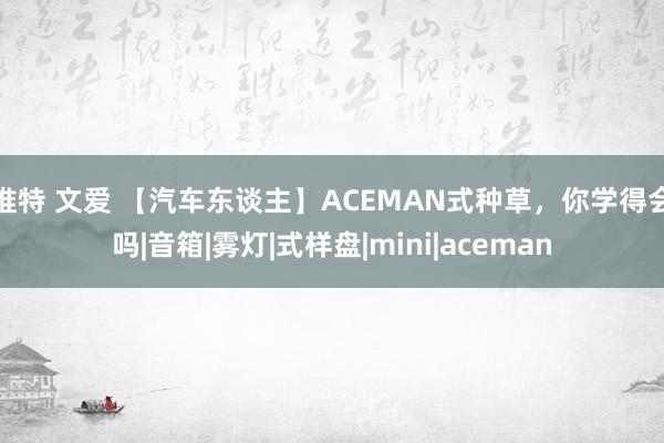 推特 文爱 【汽车东谈主】ACEMAN式种草，你学得会吗|音箱|雾灯|式样盘|mini|aceman